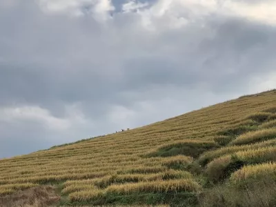 Nanxi Earth Buildings