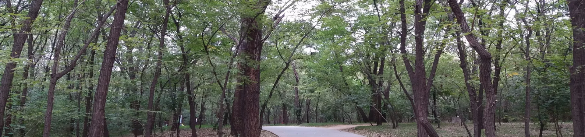 Top China Guide banner