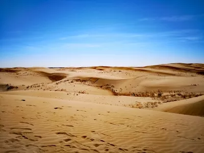 Neyman Desert