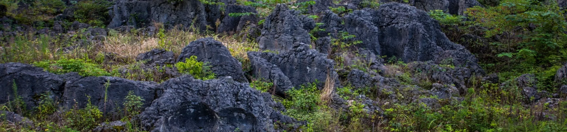 Top China Guide banner