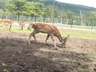 Nine Fengshan Yangxin Valley Scenic Spot