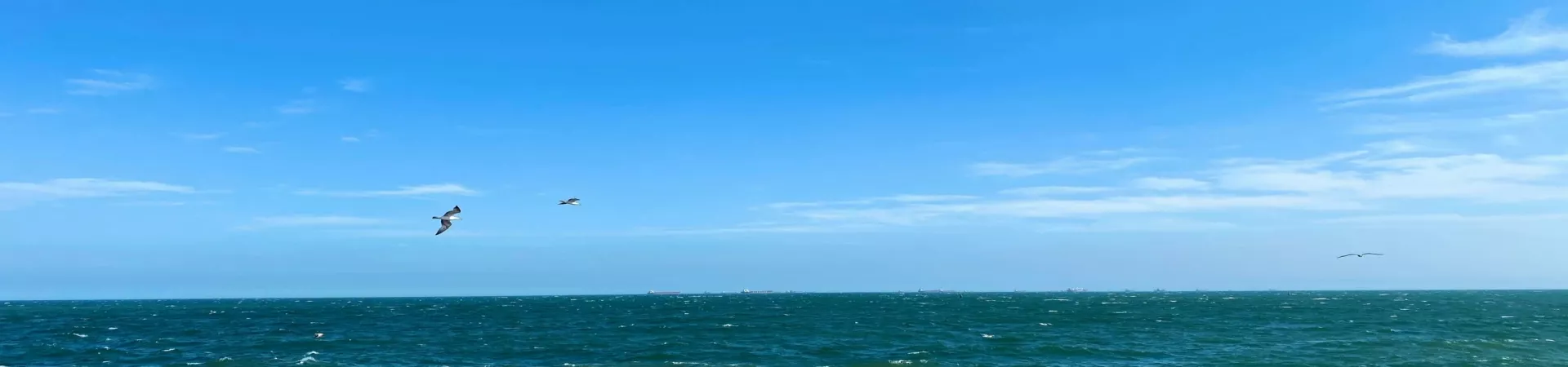 Top China Guide banner