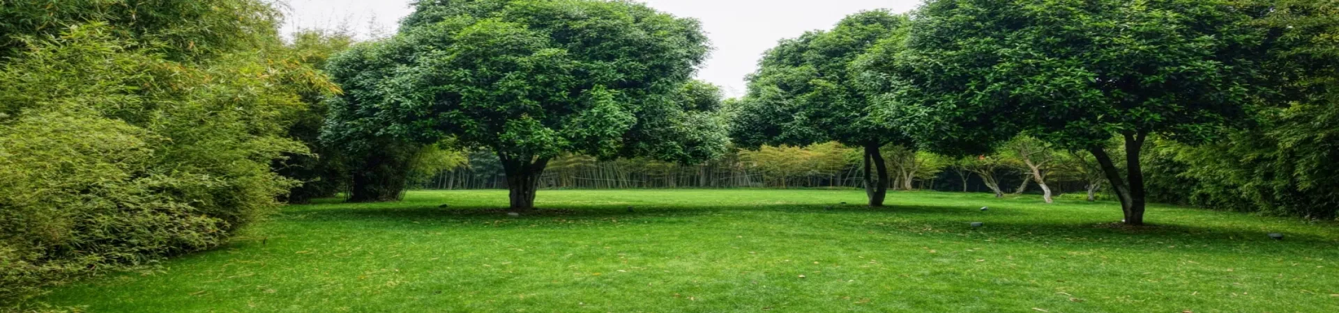 Top China Guide banner