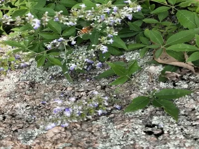 Pangu Mountain Scenic Area