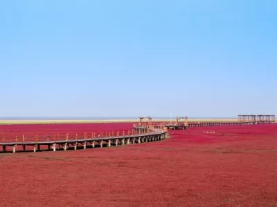 Panjin Red Beach Scenic Area