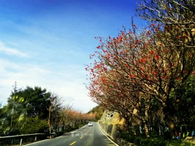 Panzhihua Flower Dance on Earth