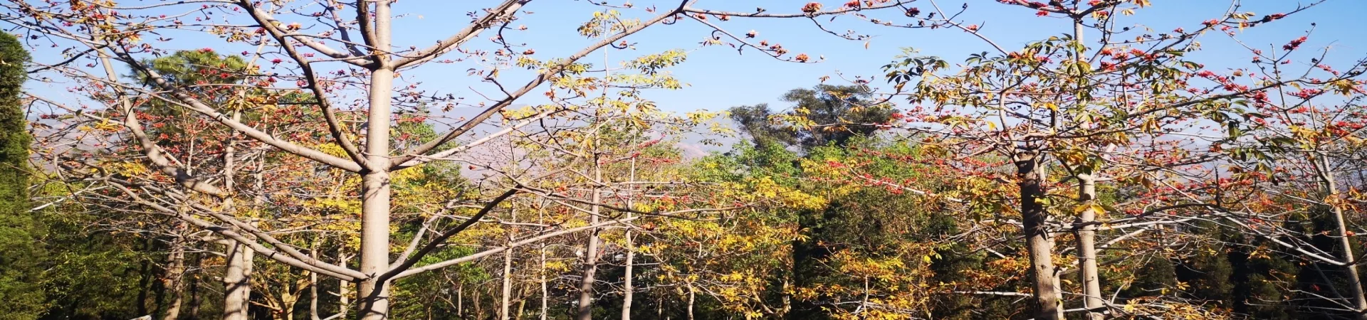 Top China Guide banner