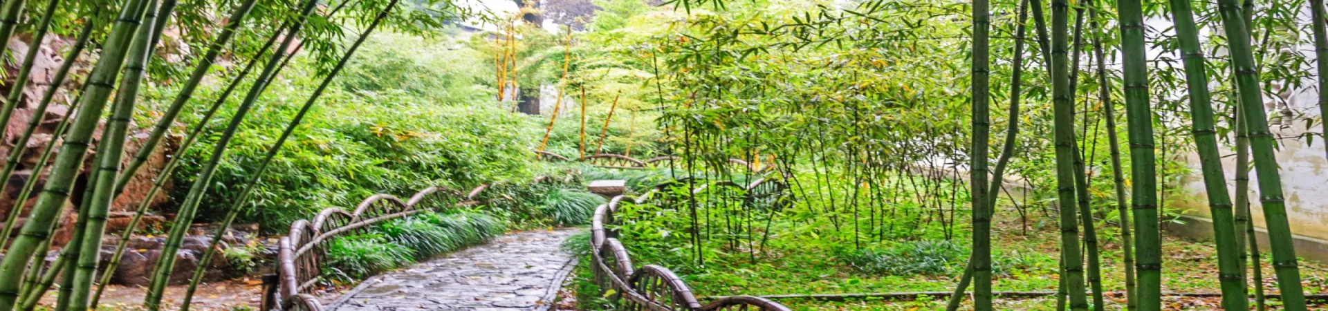 Top China Guide banner