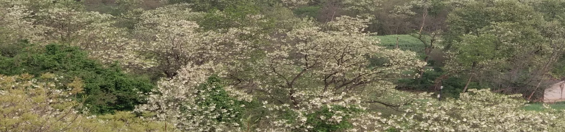 Top China Guide banner