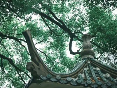 People's Park