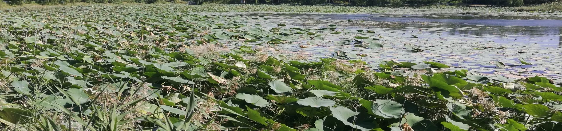 Top China Guide banner