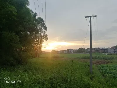 Pingnan Xiongsen Animal World