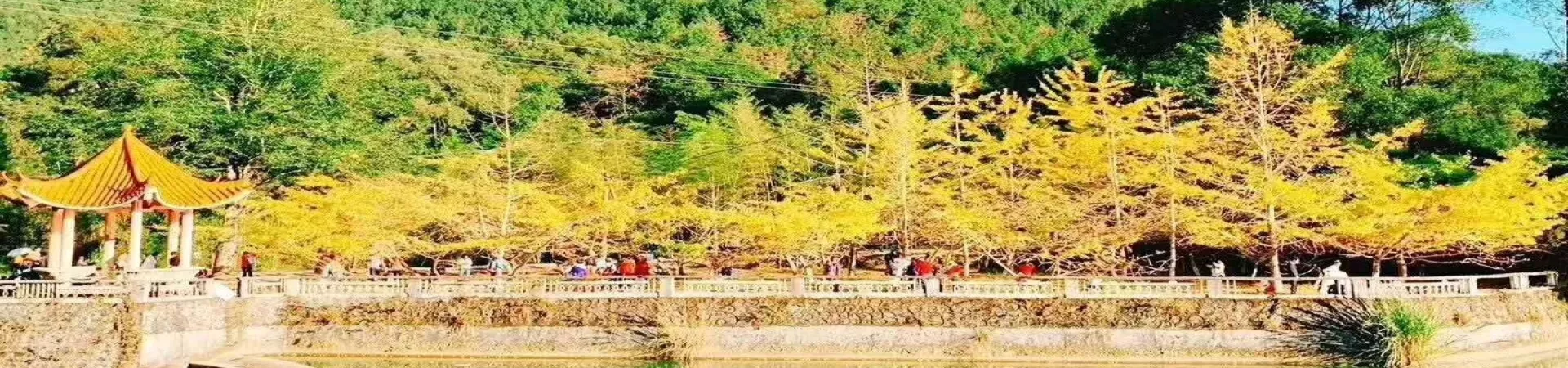 Top China Guide banner