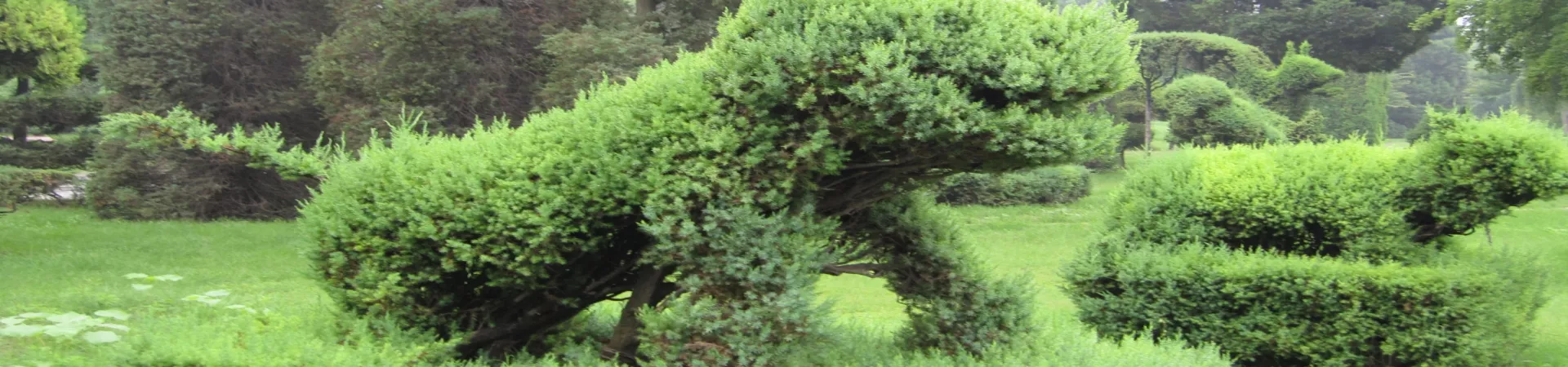 Top China Guide banner