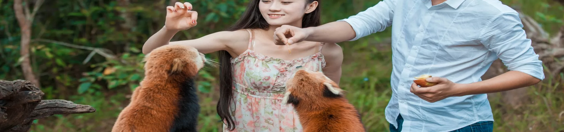 Top China Guide banner