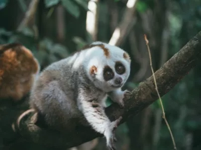 Pu'er Sun River Forest Park