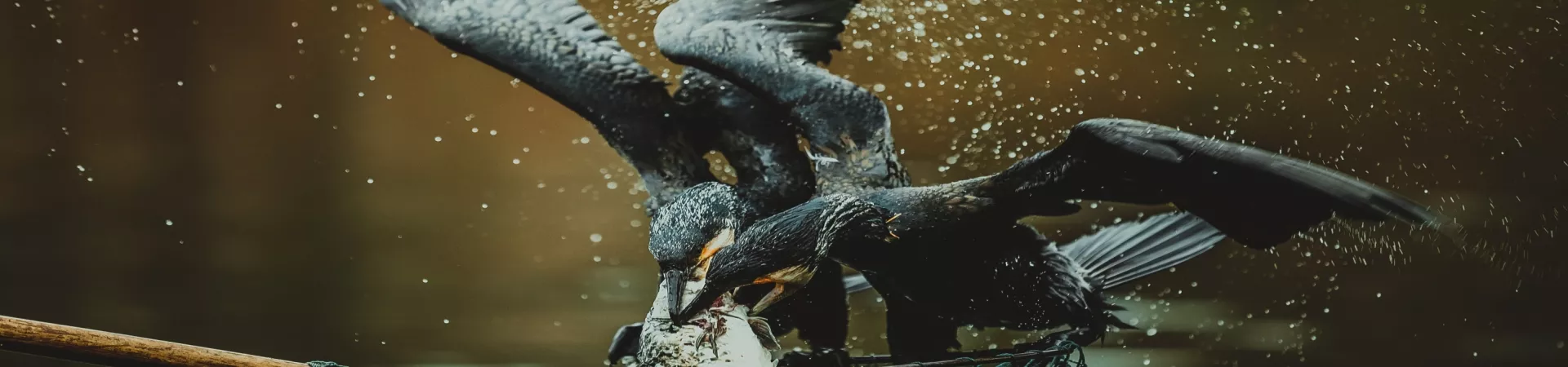 Top China Guide banner