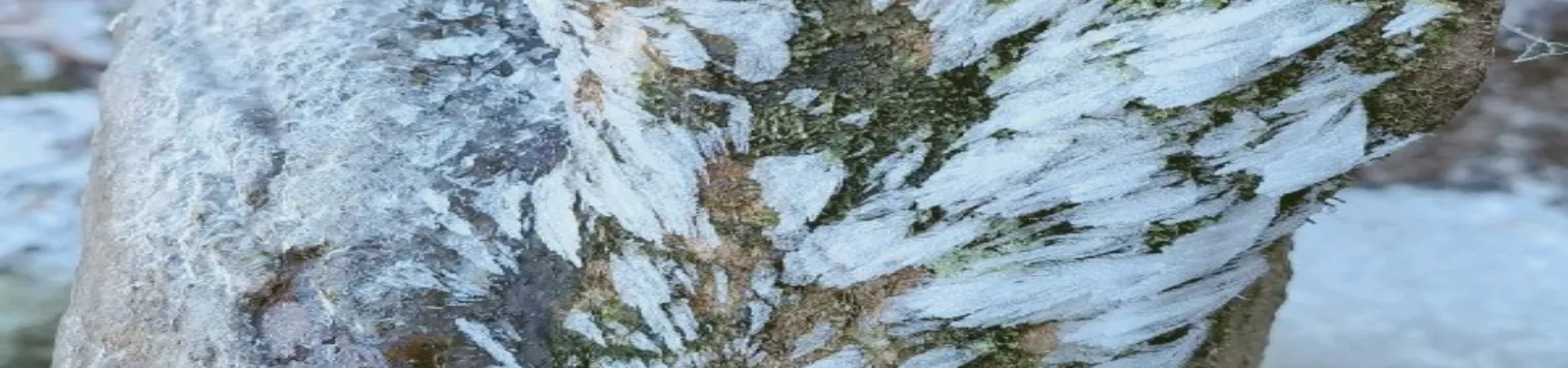 Top China Guide banner
