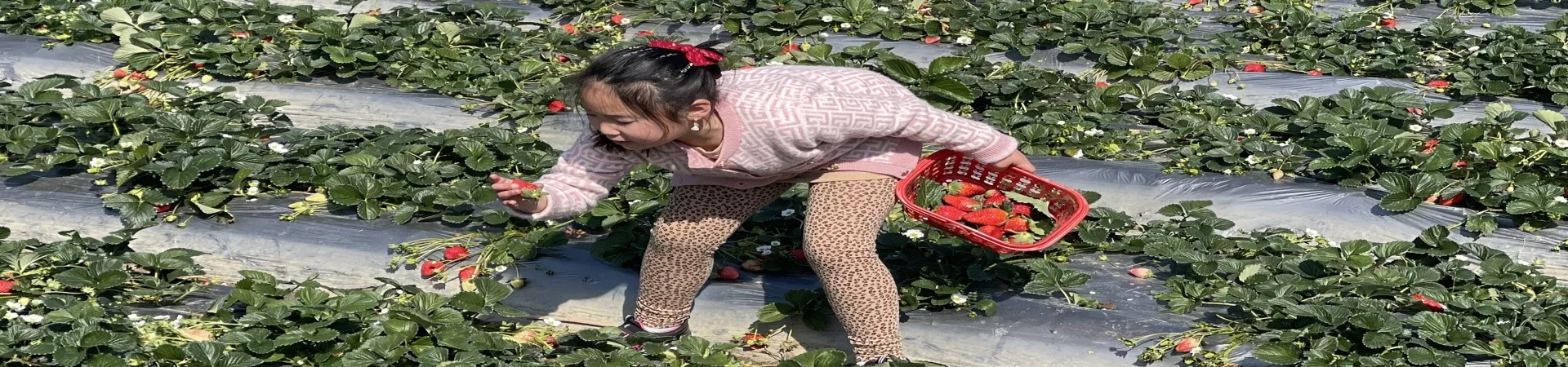 Top China Guide banner