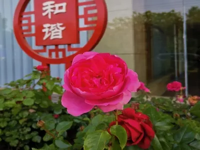 Puyang Museum