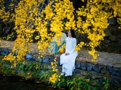 Qian Chonggu Ginkgo National Forest Park