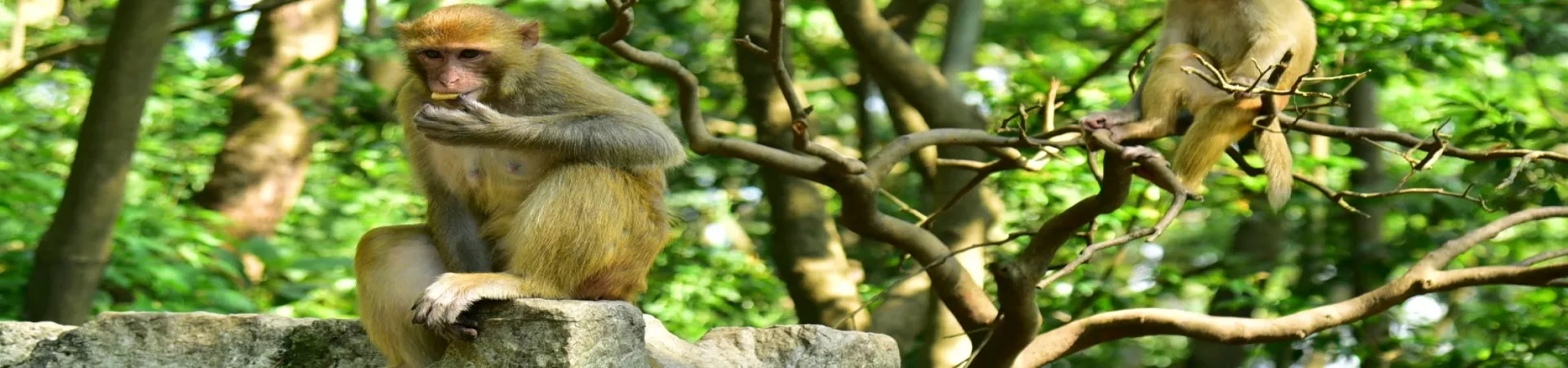 Top China Guide banner