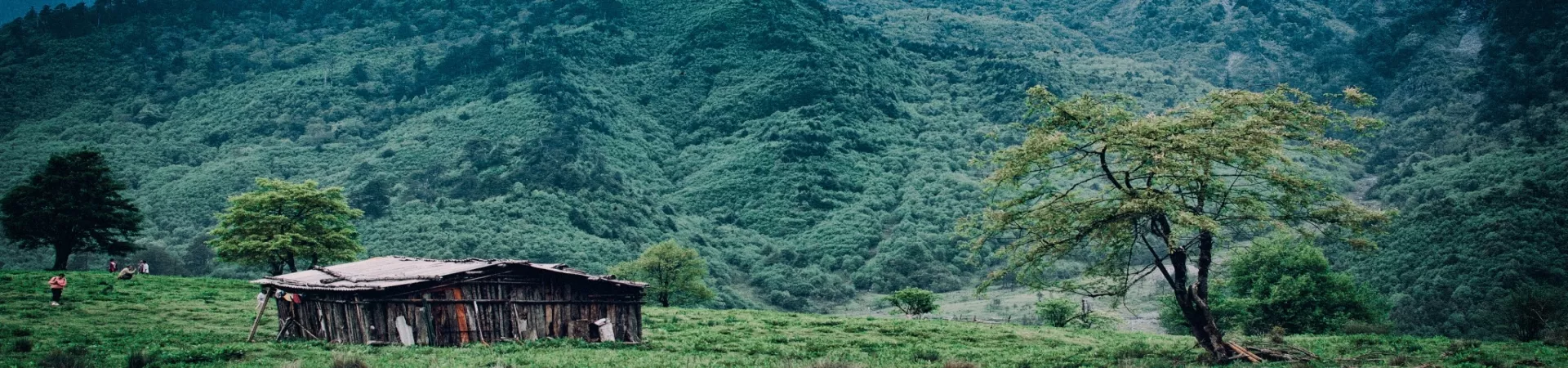 Top China Guide banner