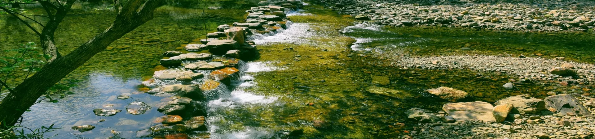 Top China Guide banner