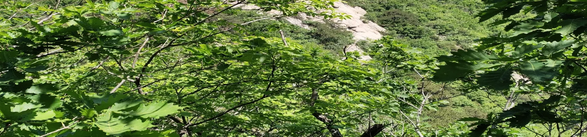 Top China Guide banner