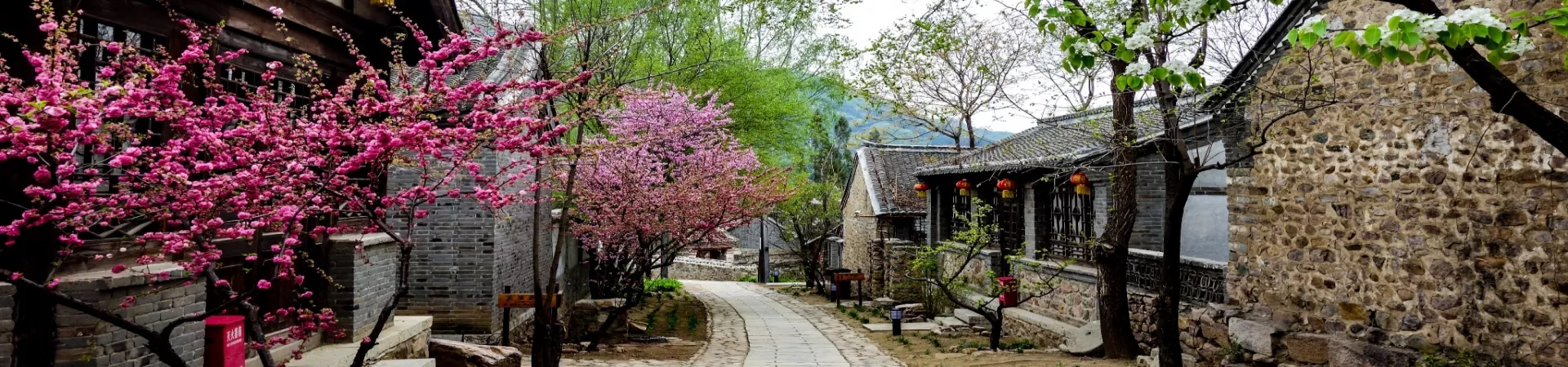 Top China Guide banner