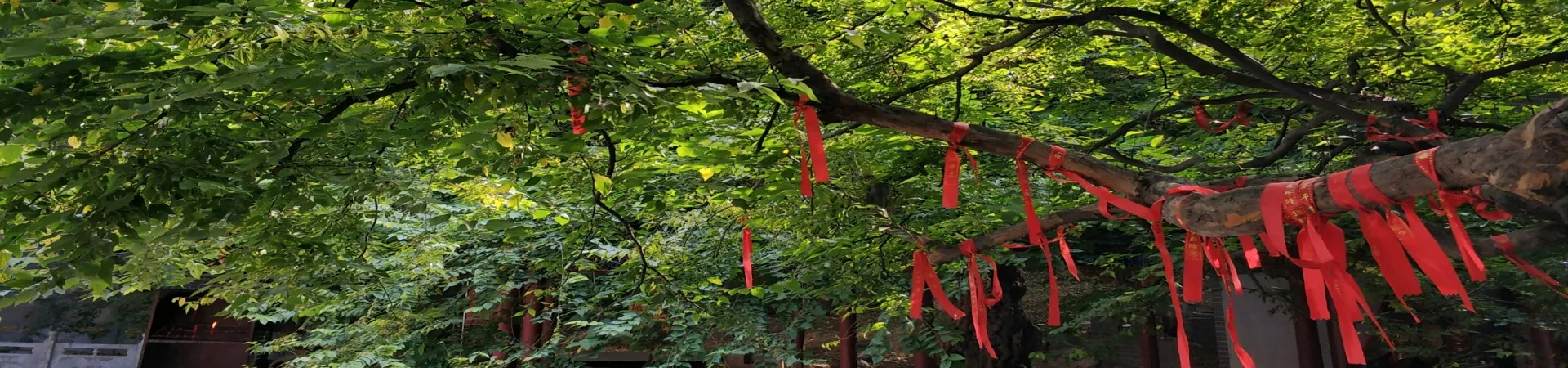 Top China Guide banner