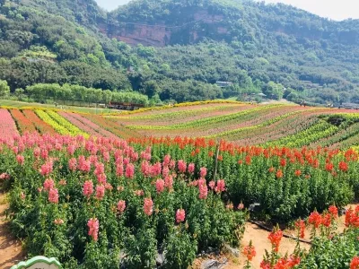 Qingxi Valley Tourist Area • Huatian Liquor Scenic Area