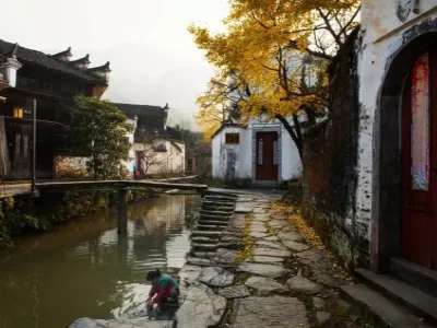 Qingyuan