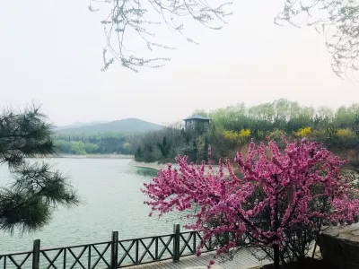 Qingzhou Song City