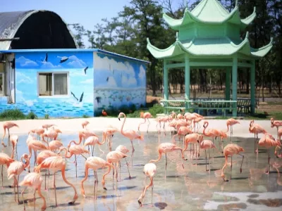 QinHuangDao Wildlife Park
