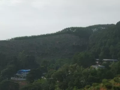 Qintang Lotus Viewing Area