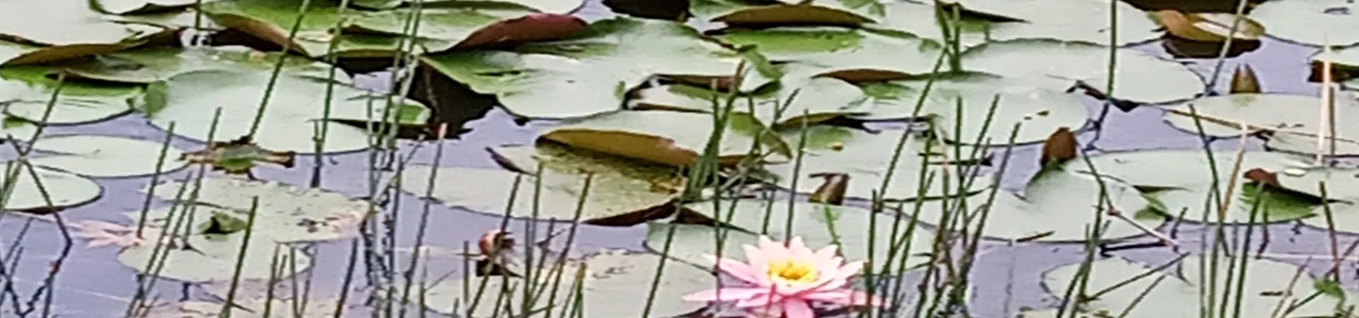 Top China Guide banner