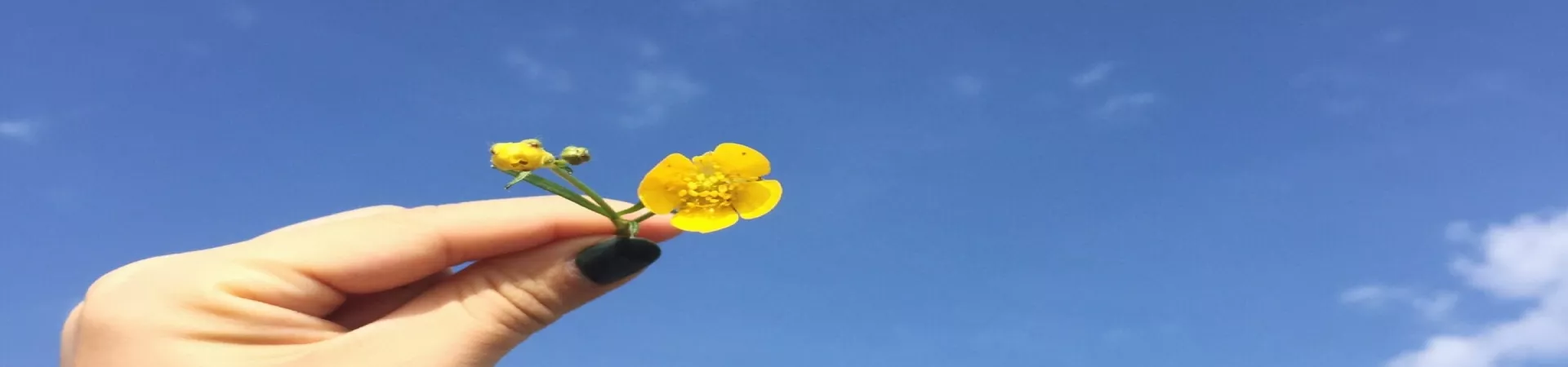 Top China Guide banner