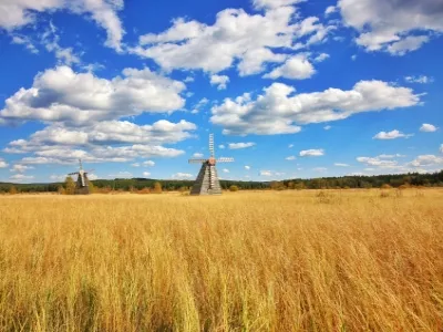Qixing Lake Wetland Park