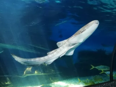 Quancheng Ocean Polar World