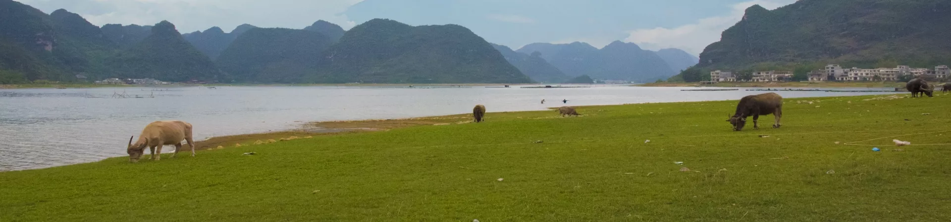 Top China Guide banner