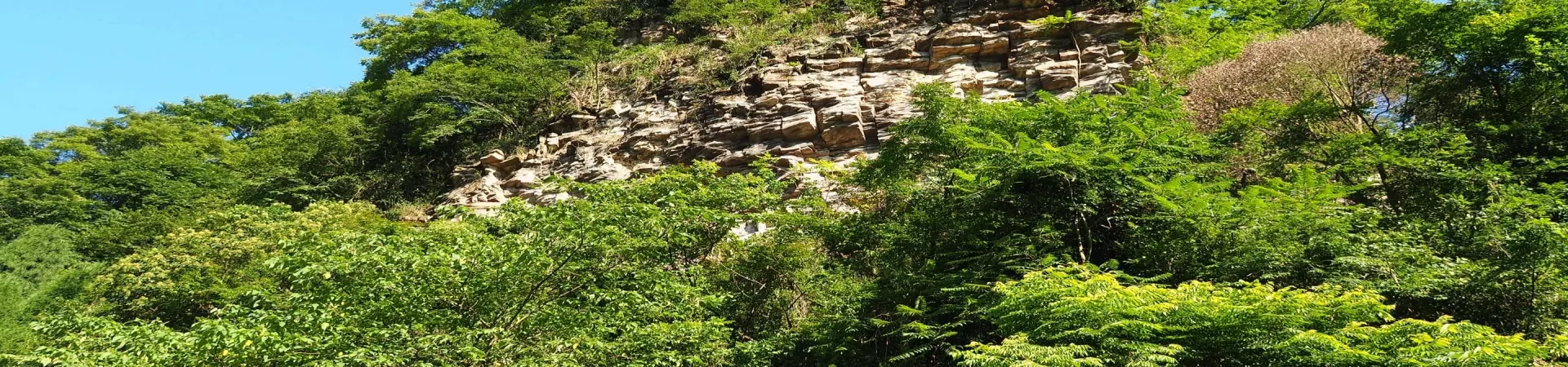 Top China Guide banner