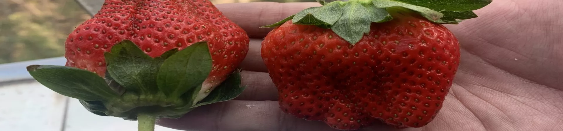 Top China Guide banner