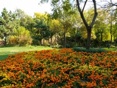 Rizhao Botanical Garden