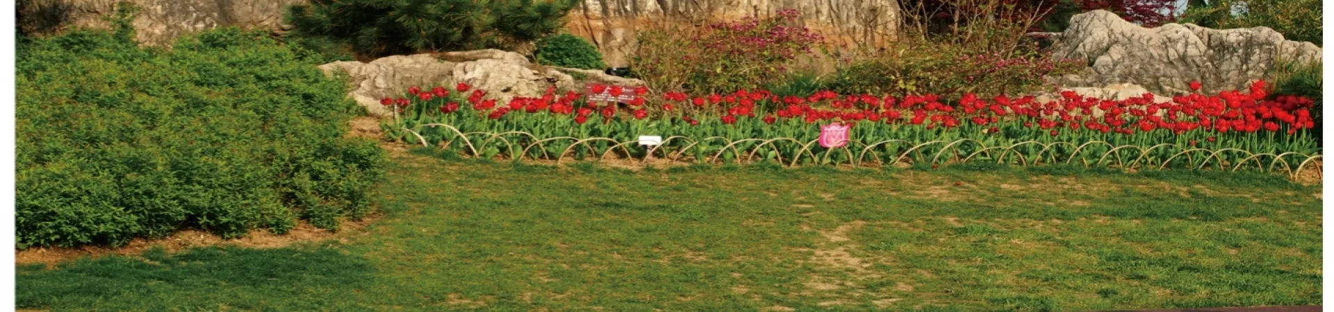 Top China Guide banner