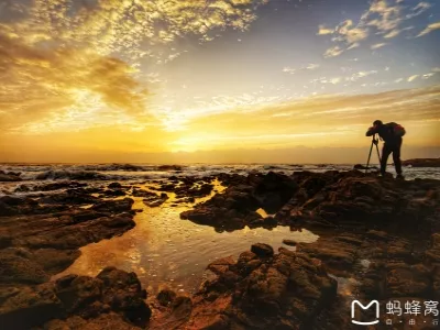 Rizhao Travel Guide: Unveiling Hidden Wonders with TopChinaGuide