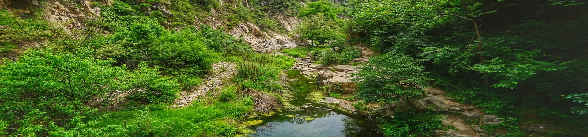 Top China Guide banner