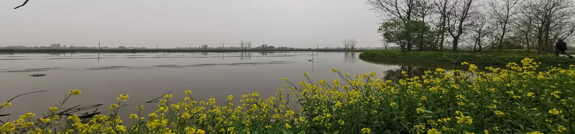 Top China Guide banner