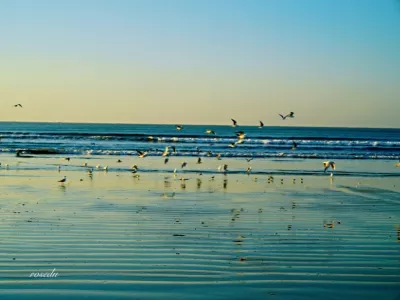 Rushan Yintan Tourist Resort