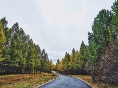 Saihanba National Forest Park